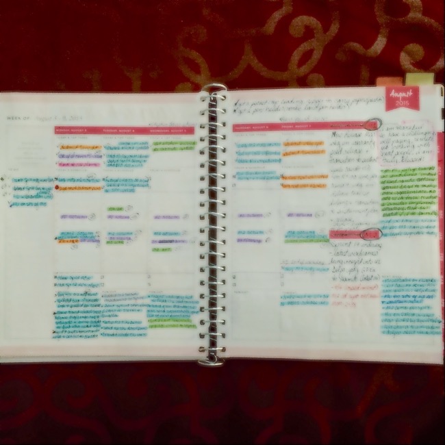 Day Designer, Target, Blue Sky, planner, planners, week on 2 pages, WO2P, coil bound, wire bound, work, office, color coding