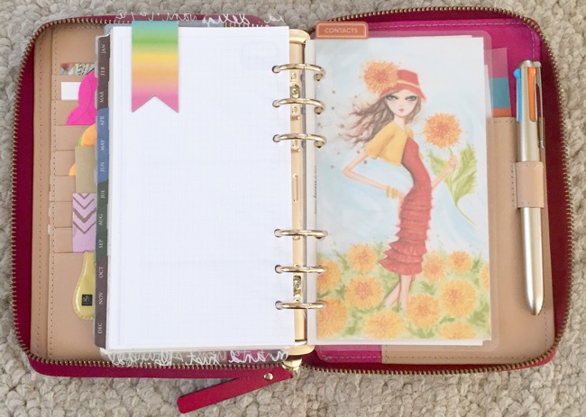 planner, planner setup, kate spade, wellesly, gold coleto pen, contacts section