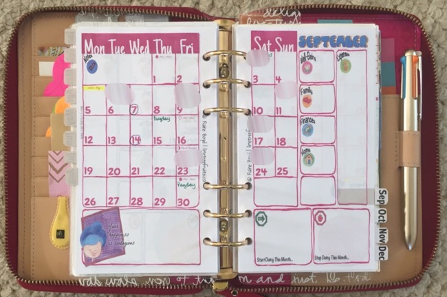 planner, planners, planner setup, month on two pages, limetree fruits