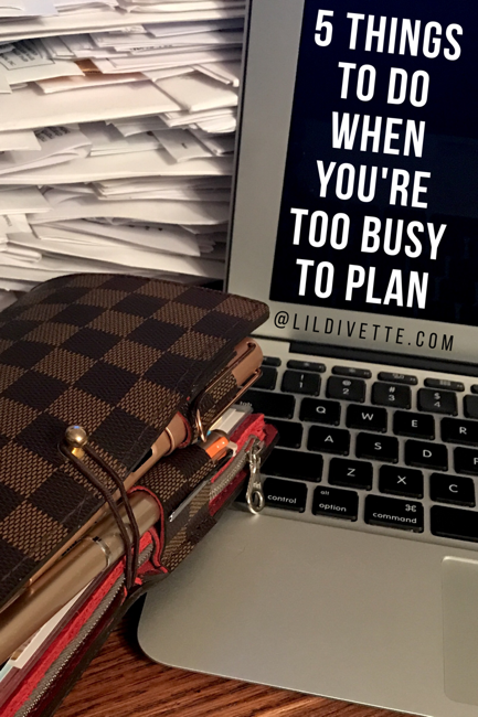Louis Vuitton Desk Agenda Cover Set Up with Erin Condren Focused Academic  Planner 